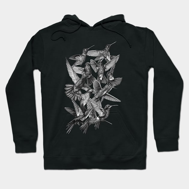 Hummingbird Dance in Sharpie (Grayscale Edition) Hoodie by JustianMCink